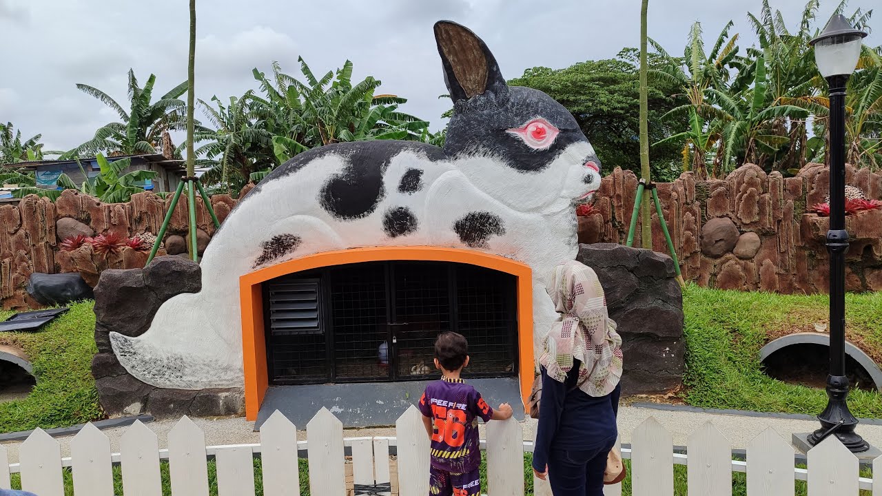 Bermain di Taman Kelinci