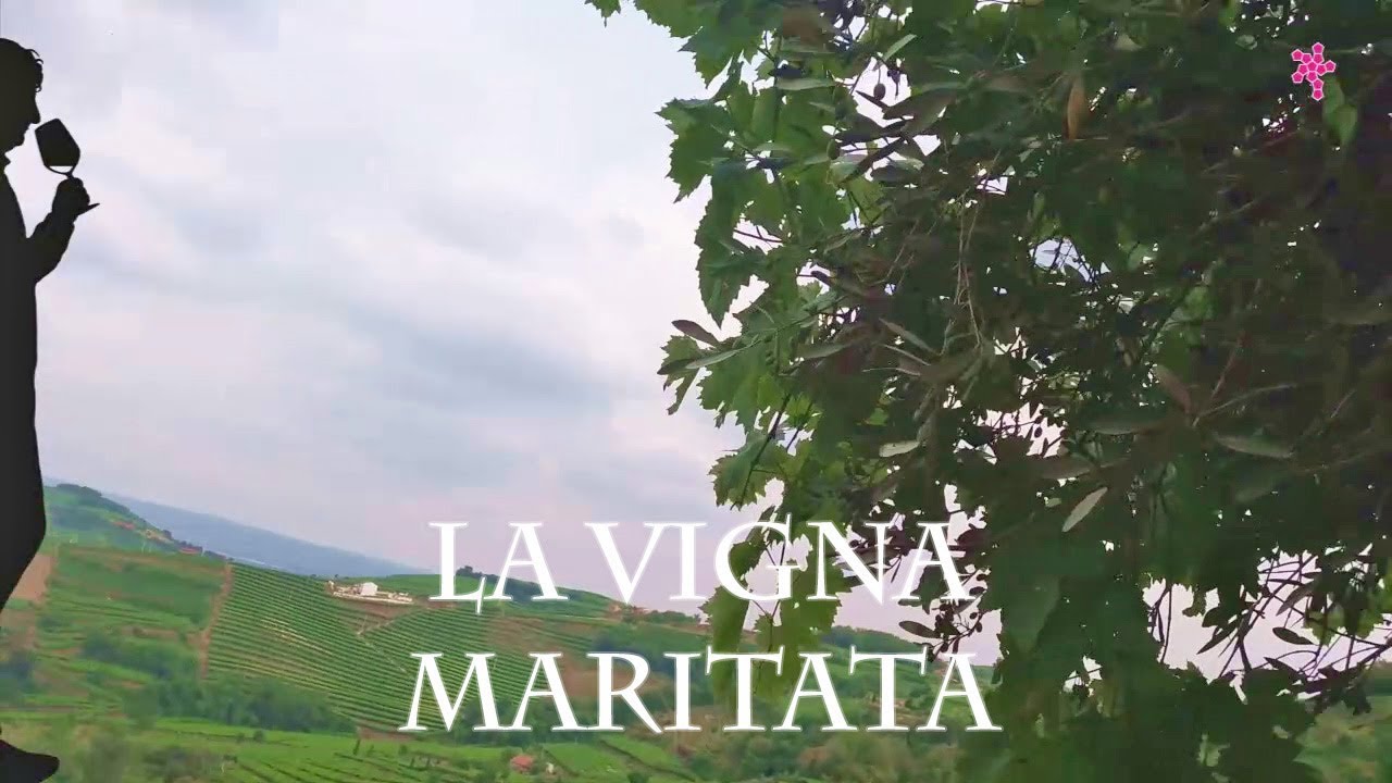 La Vigna Maritata