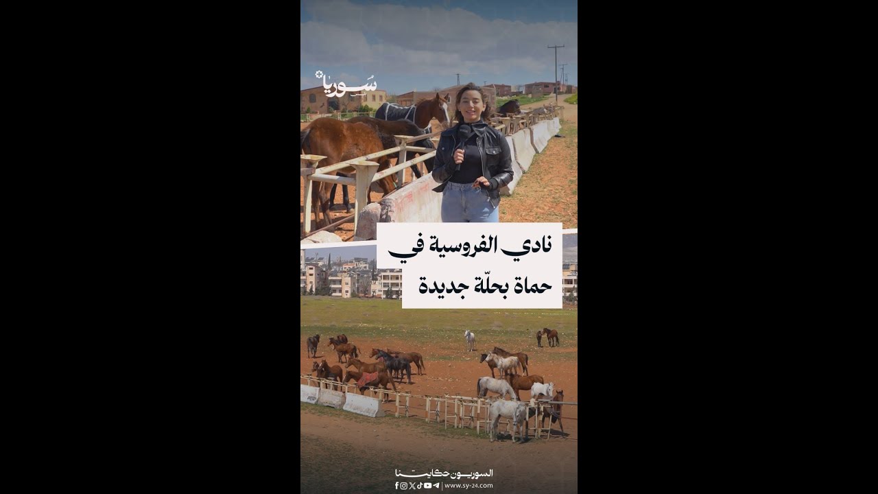 خيول أصيلة وإدارة طموحة.. جولة في نادي الفروسية بمدينة حماة يارا شهدا - حماة