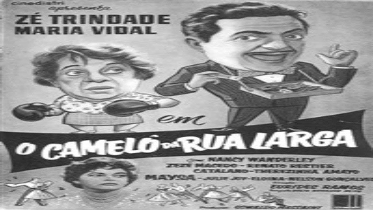 O Camelo da Rua Larga