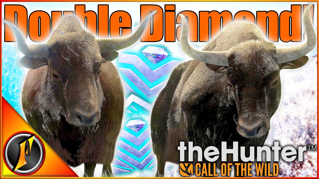 DOUBLE DIAMOND Yak! | Yak Redemption on a Sundarpatan Mountain Hunt!