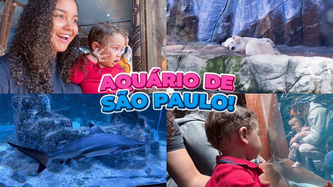 Fomos no Aquário de São Paulo! 🦈💙 | Passeio em Família