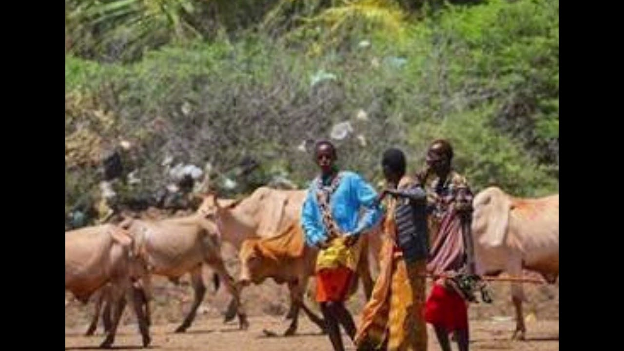 Webiga Jubba biyihiisa oo isbedelay sida ay xaqiijiyeen dadka deegaanka yoontoy 