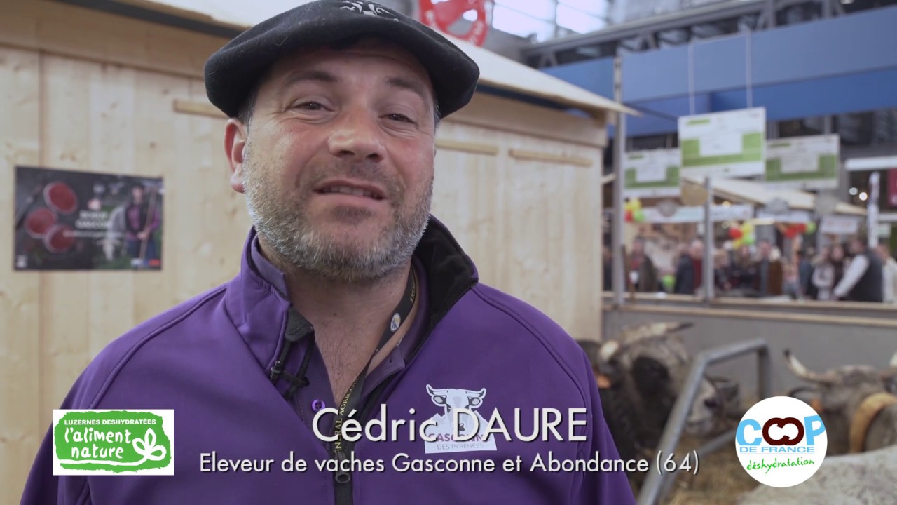 Cédric Daure, éleveur de Gasconne et Abondance : 