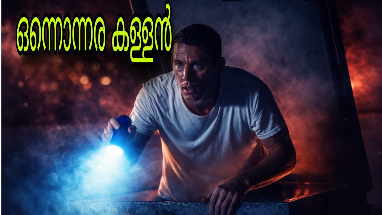 ഒരു നാടിനെ വിറപ്പിച്ച കള്ളൻ| thriller movie explain in Malayalam |