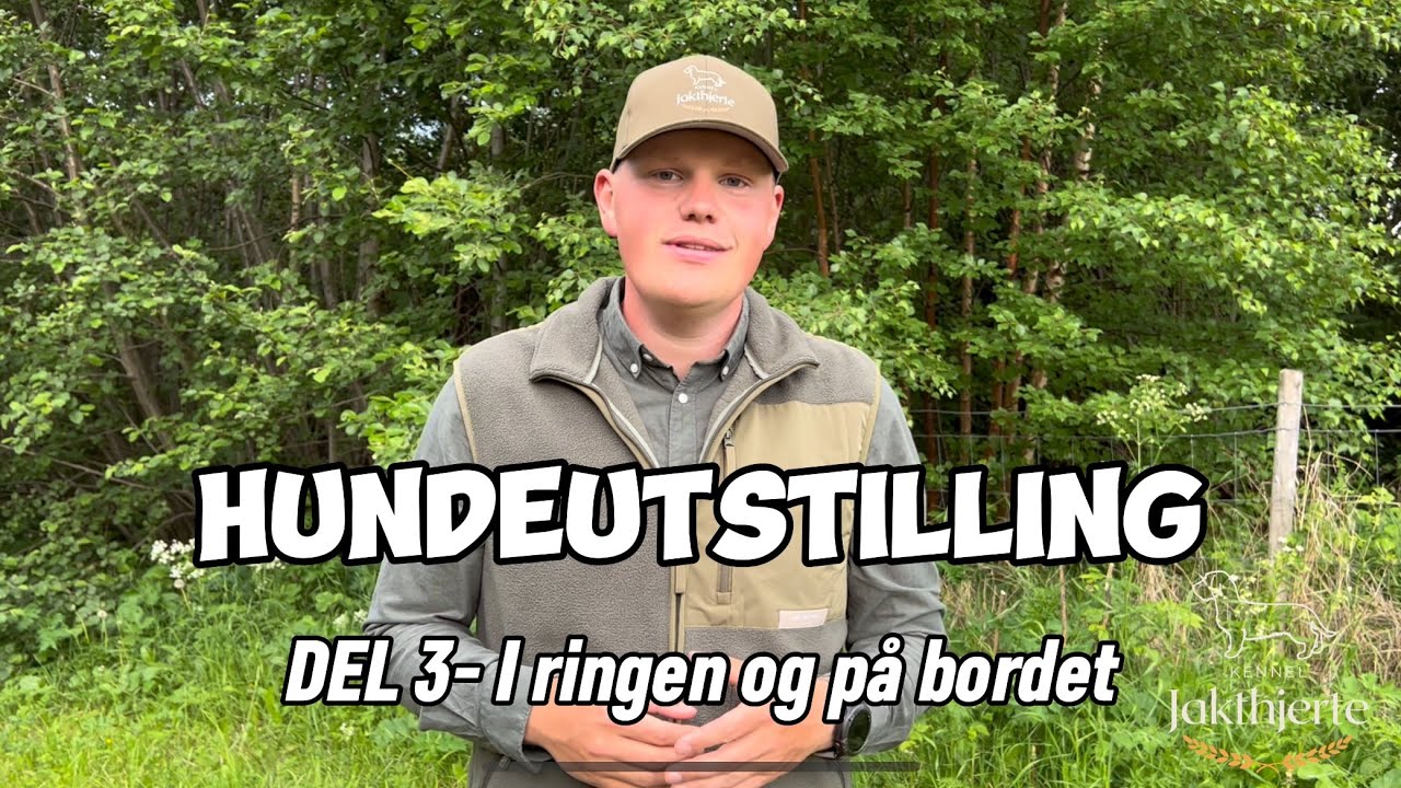 Hundeutstilling p&aring; 1-2-3 / DEL 3 - I ringen og p&aring; bordet