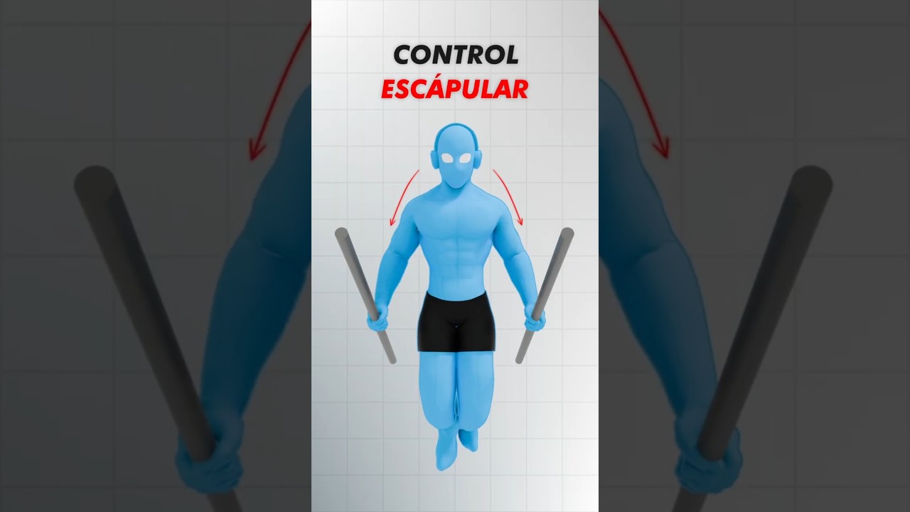 C&oacute;mo hacer FONDOS para PECHO, el ejercicio B&Aacute;SICO de pectoral inferior #gym #pressinclinado  #pecho