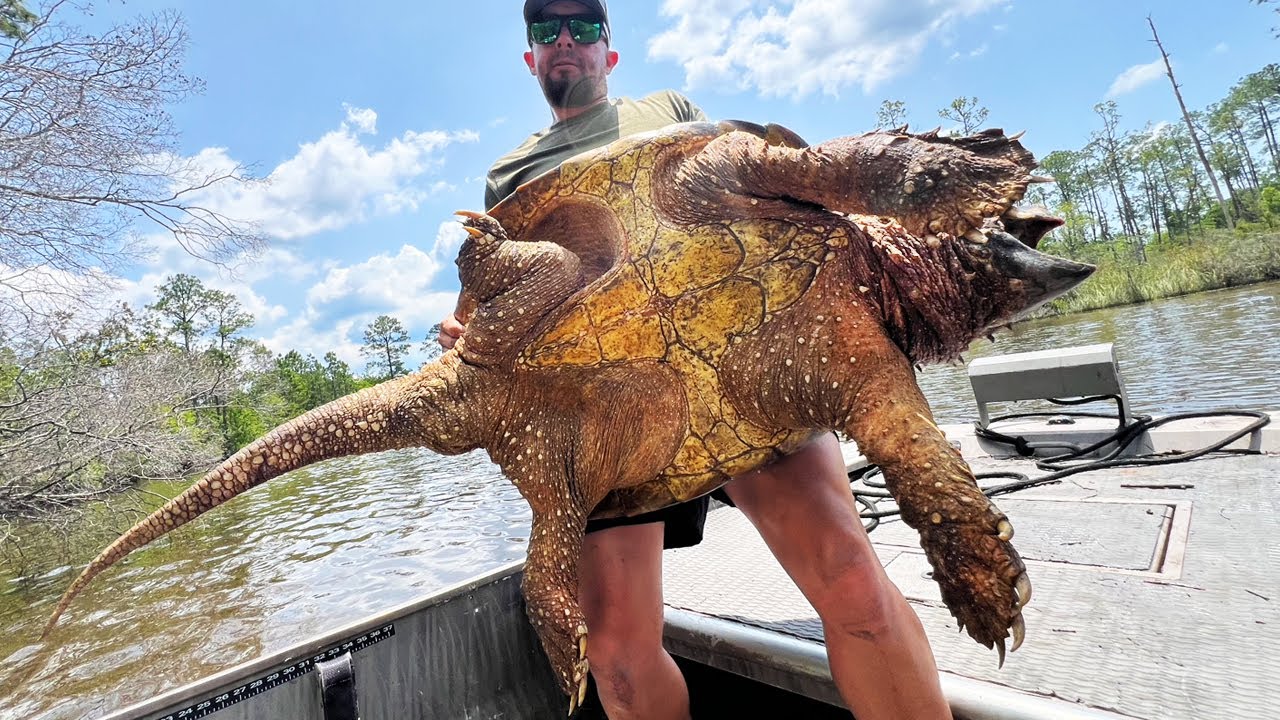 We Caught the GIANT SNAPPING TURTLE Lurking in this Bayou!