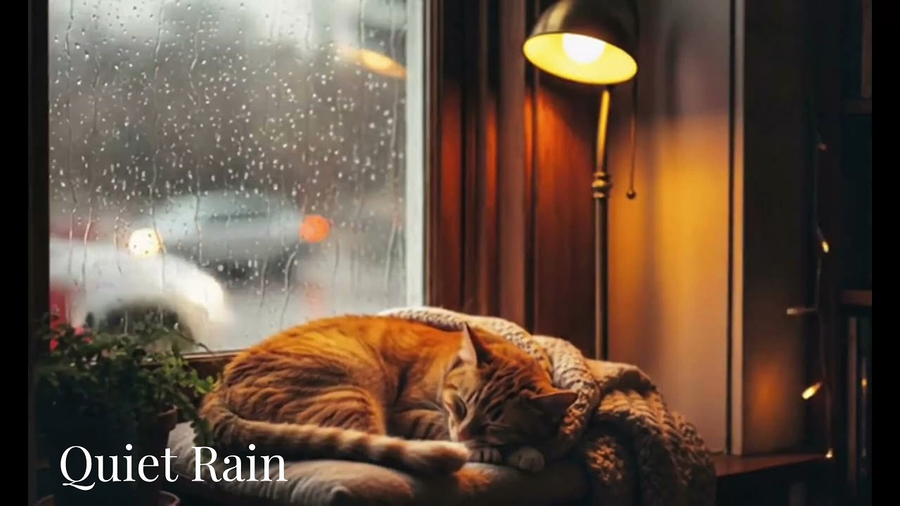 【作業用BGM】雨音と深夜の猫 Ambient｜集中・勉強・作業（60分）