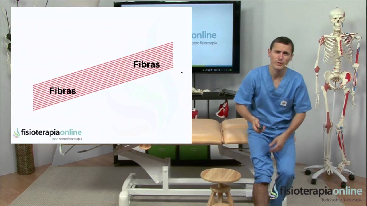 Tratamiento de la tendinistis del tibial anterior - Fisioterapia Bilbao