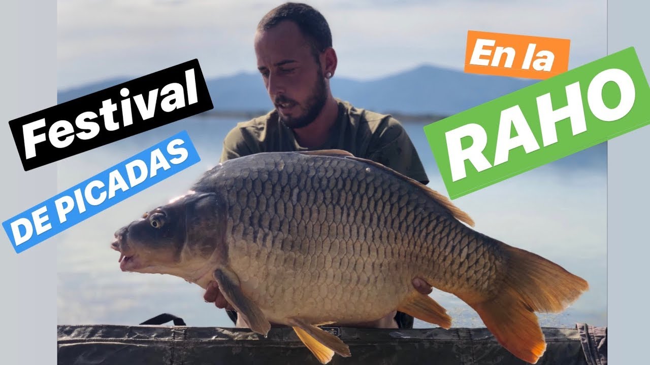 SESIONES CARPFISHING | VILLENEUVE DE LA RAHO | HIGHLIGHTS DE LA SESION