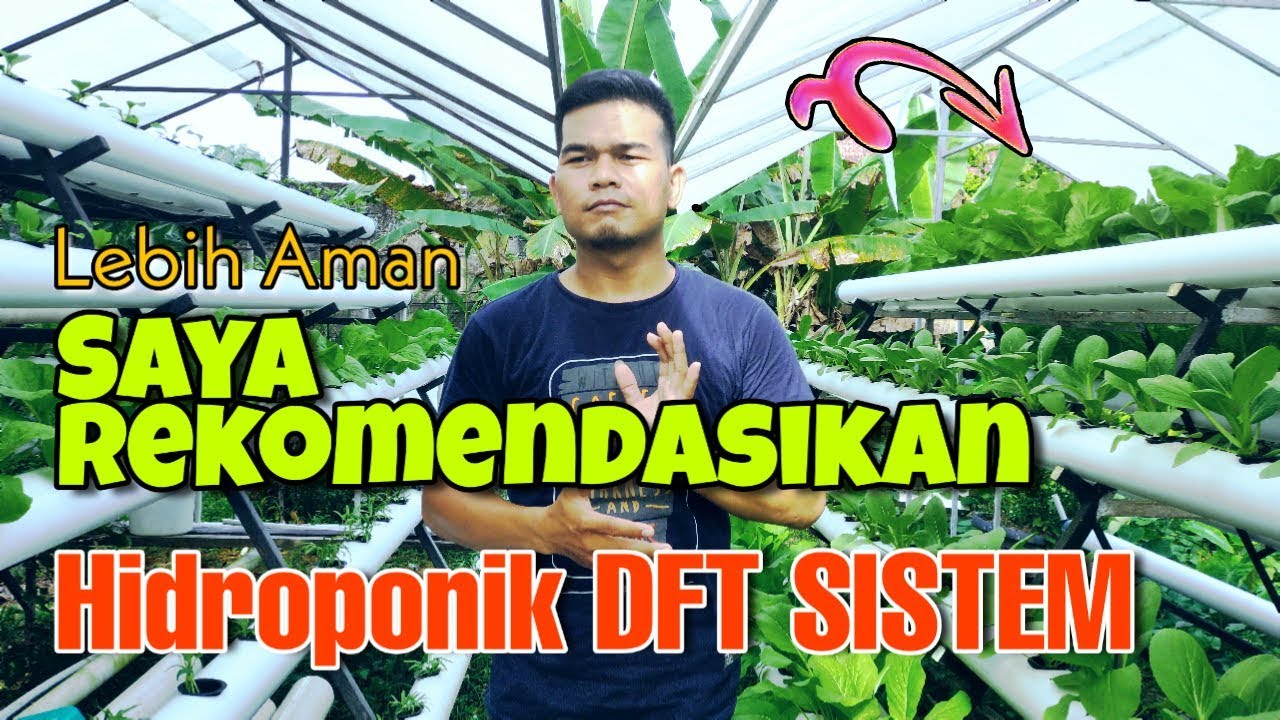 Review Hidroponik Sistem DFT
