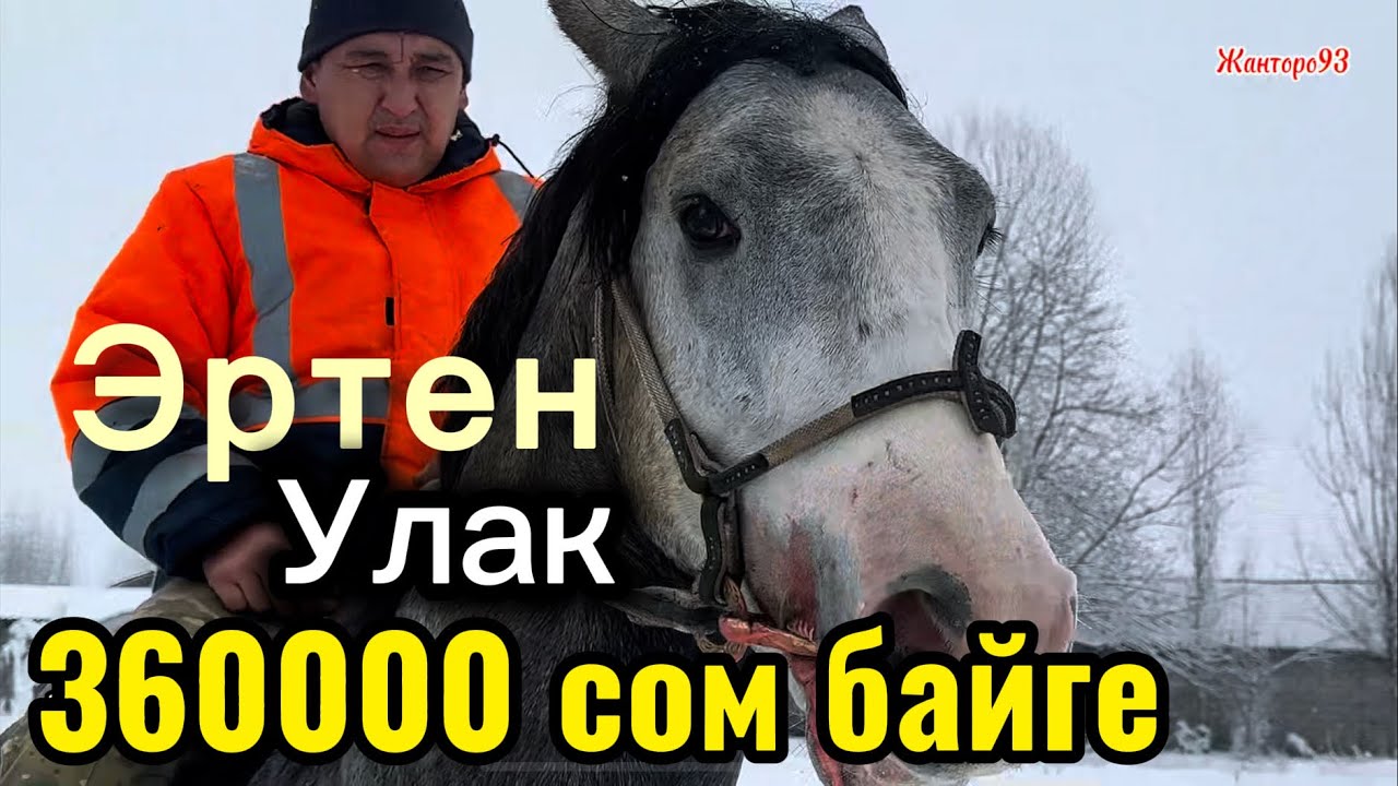 Чекир текшерип Ал 23 января 2026 г.