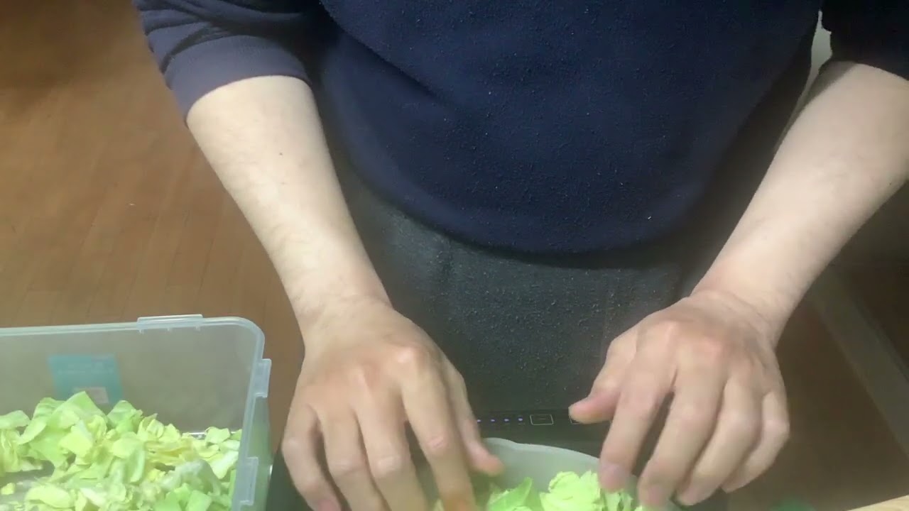 ただキャベツを炒める。盲人