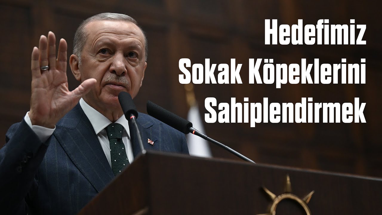 Hedefimiz Sokak Köpeklerini Sahiplendirmek