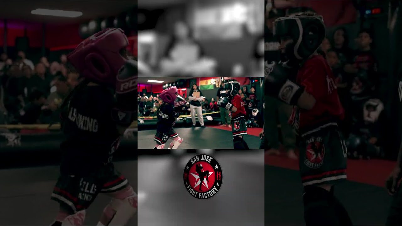gym sample 004