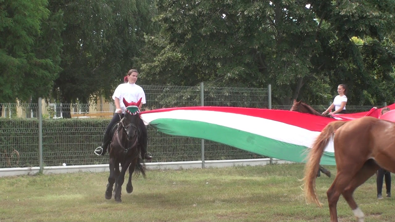 Egy szabad országért - 3/11 Lovasbemutató