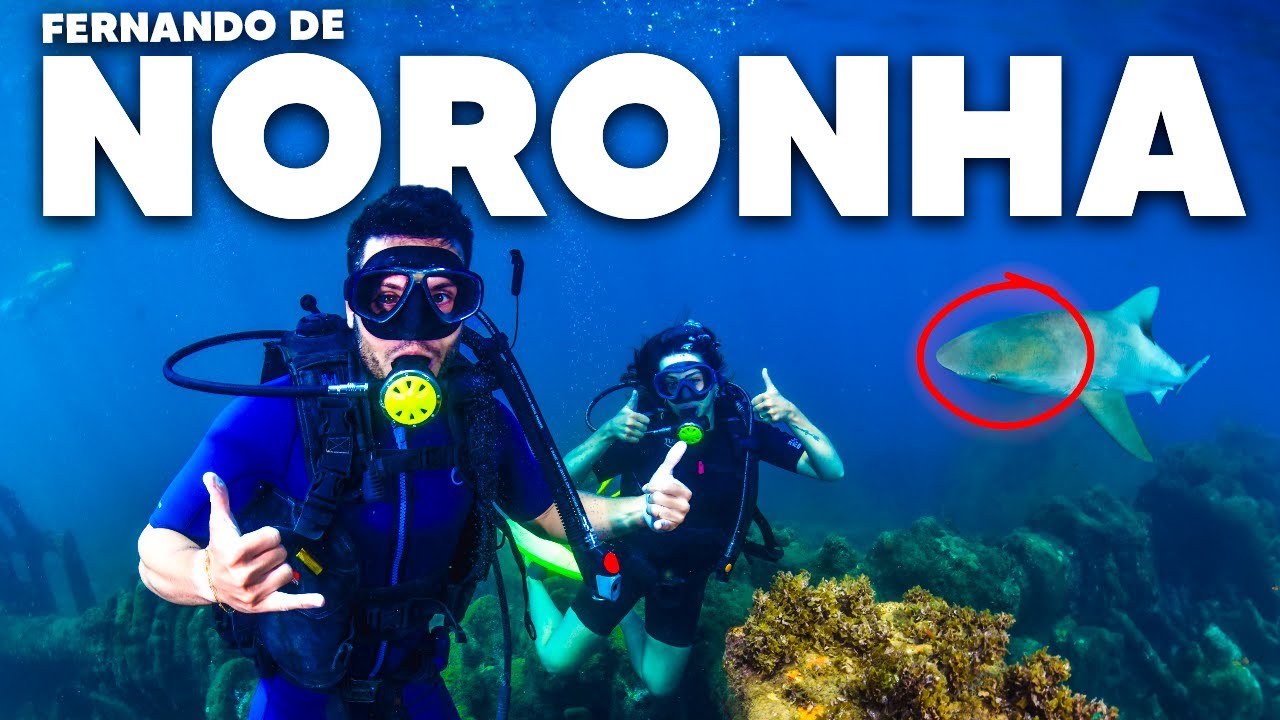 Explorando o Paraíso - FERNANDO DE NORONHA (Passeios, Praias, Lancha, Mergulho)