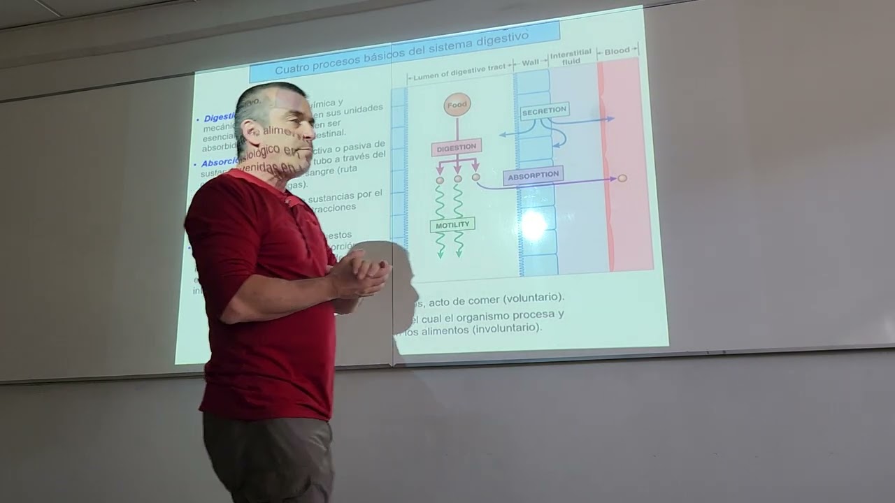 UNIDAD 3 - CLASE 5: Bases científicas para la Medicina IV