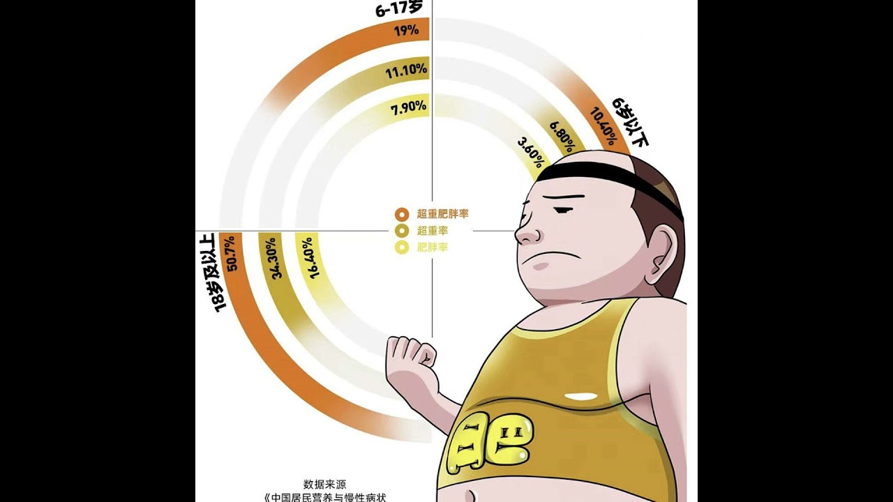 中国的肥胖问题｜China's Overweight Problem