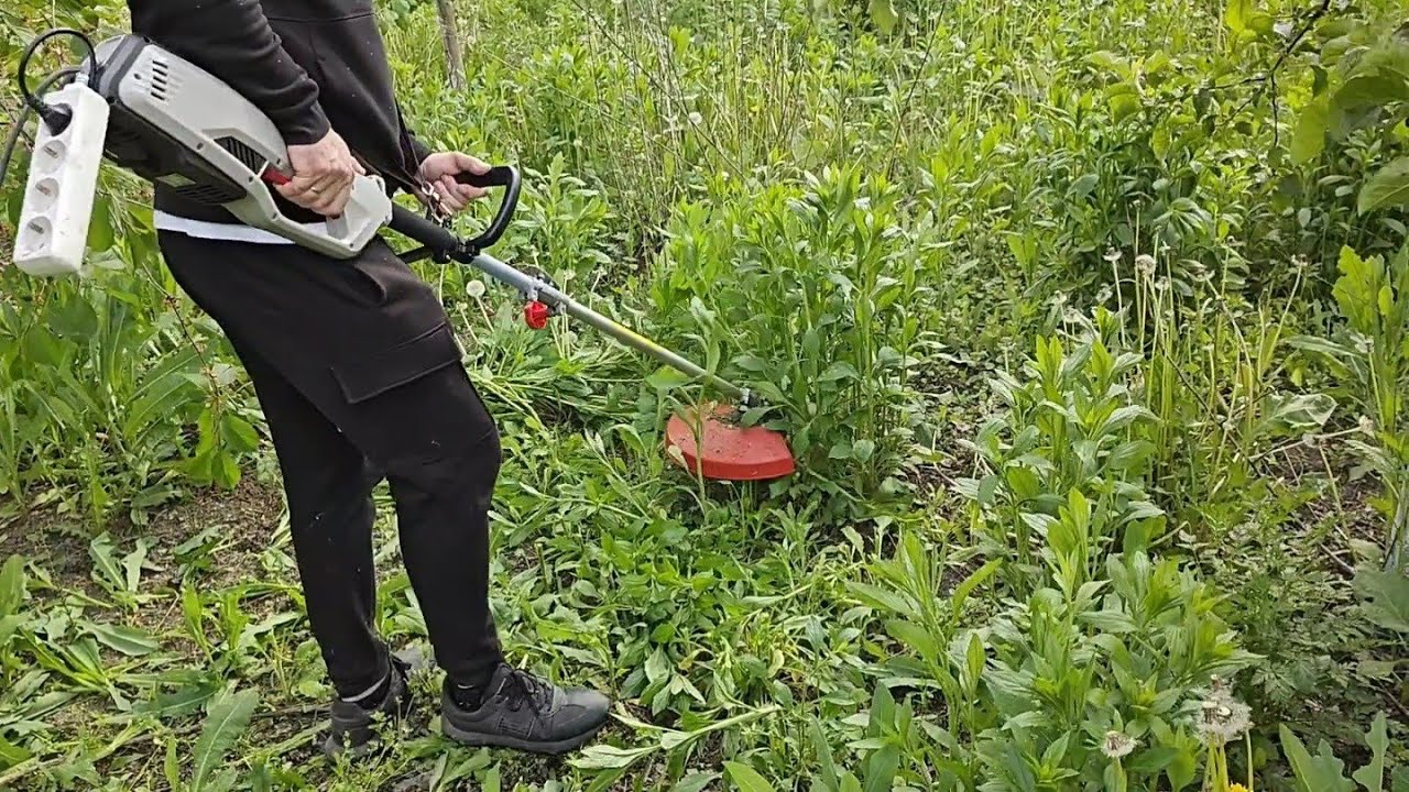 електрокоса AL-KO BC 1200 E потужніша за бензокосу 🙆‍♂️