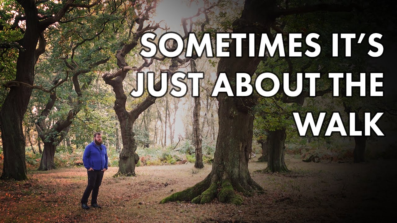 Cannock Chase - A Peaceful Woodland Walk