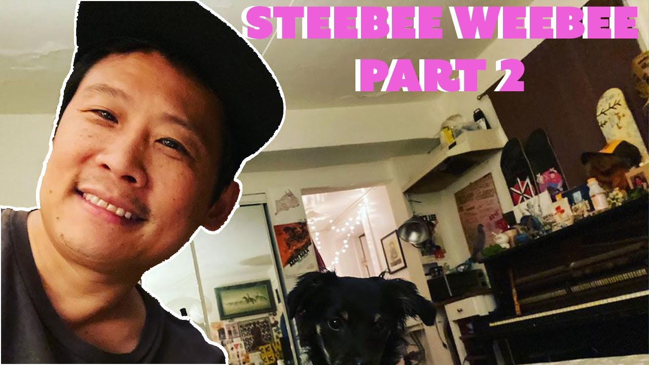 Best of Steebee Weebee Part 2