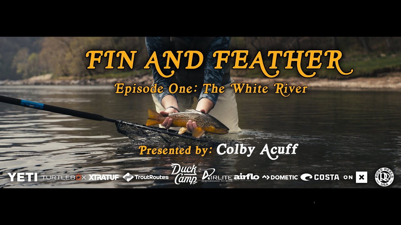 FIN AND FEATHER EPISODE ONE: 