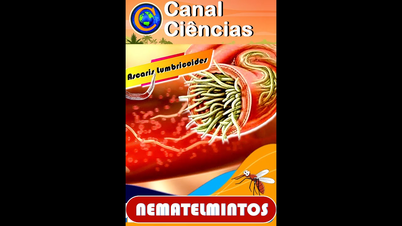 NEMATELMINTOS - OS VERMES PARASITAS #shorts #shortsyoutube