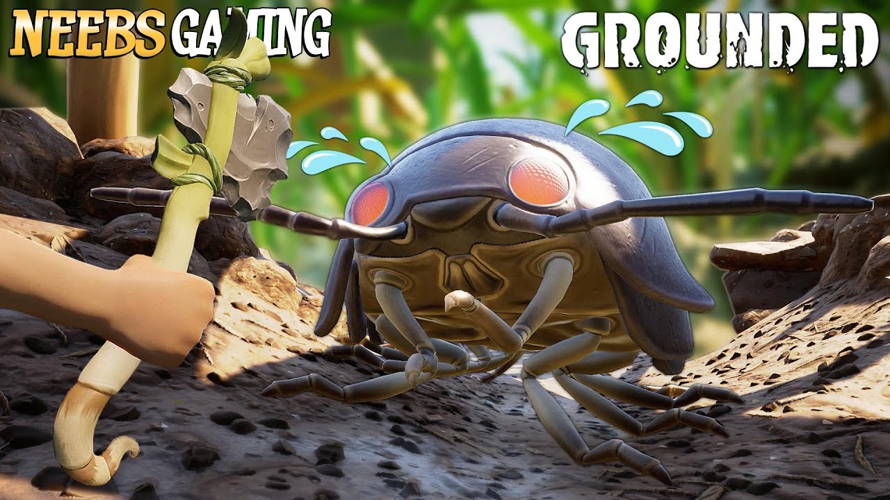 Don't Hurt Roly Polys!!! - Grounded