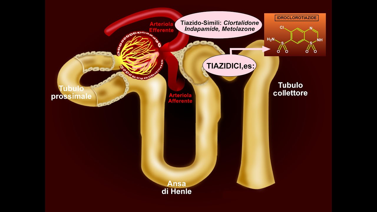 Memo 8C. DIURETICI attivi nel Tubulo Contorto Distale: come agiscono e quando/come usarli