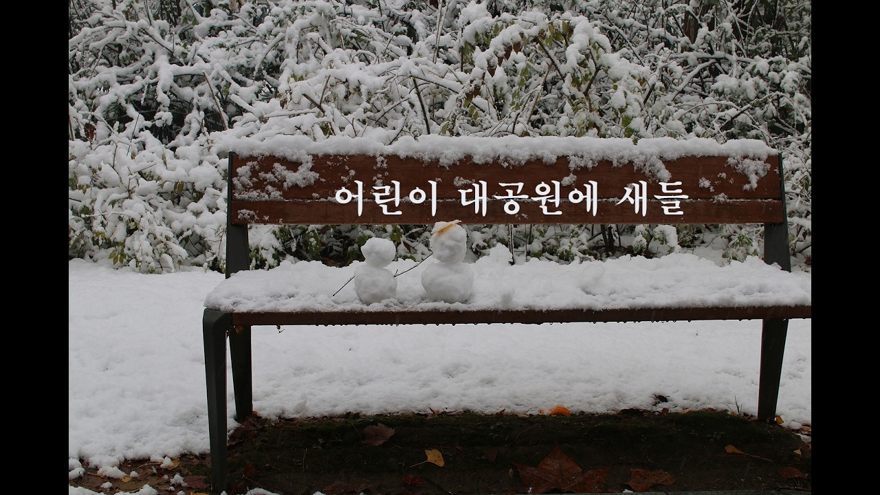 어린이 대공원의 새들 - A Morning At Cornwall - James Last