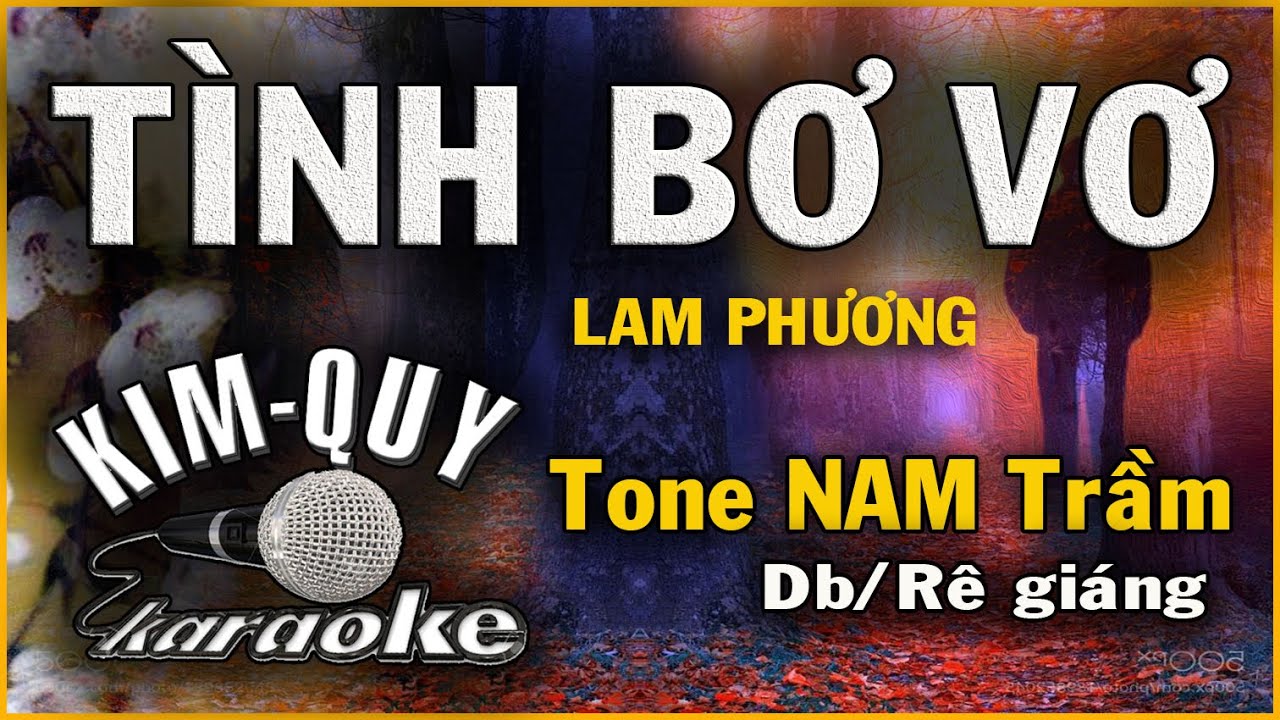 TÌNH BƠ VƠ - KARAOKE - Tone NAM Trầm ( Db/Rê giáng )
