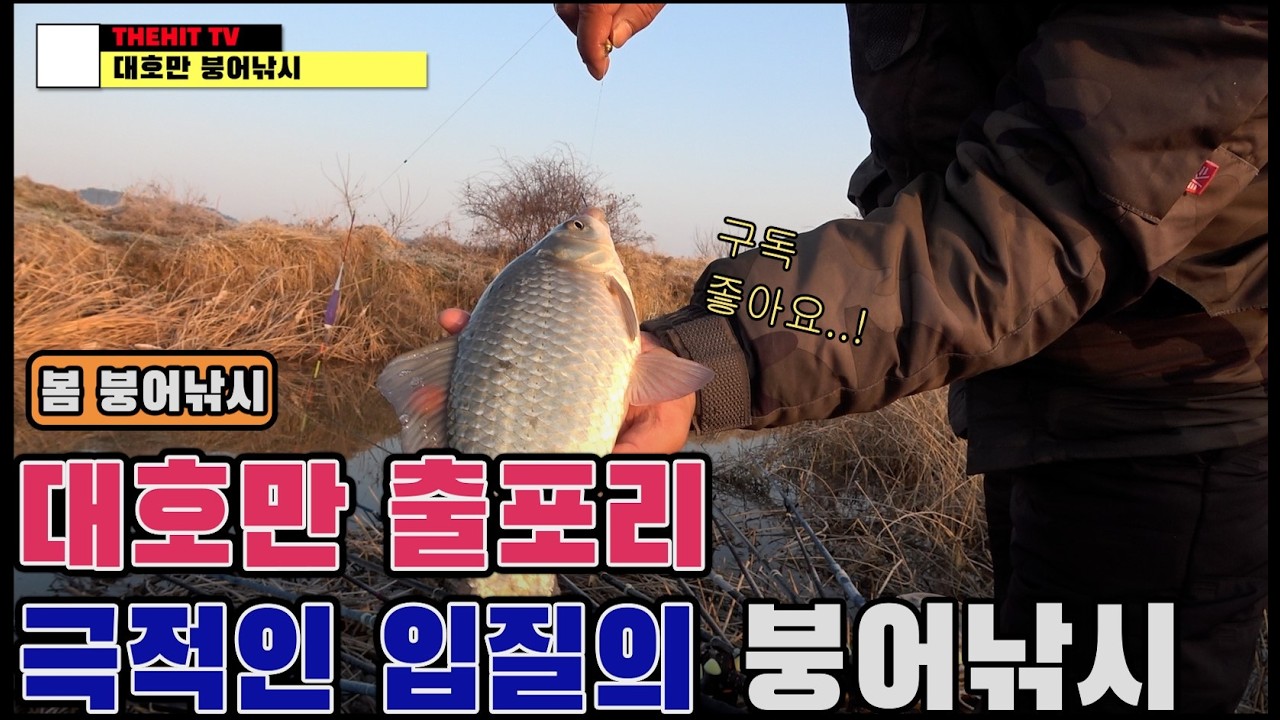 2026.2.28 대호만 출포리 붕어낚시