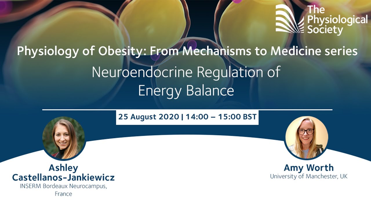 Webinar: Neuroendocrine Regulation of Energy Balance