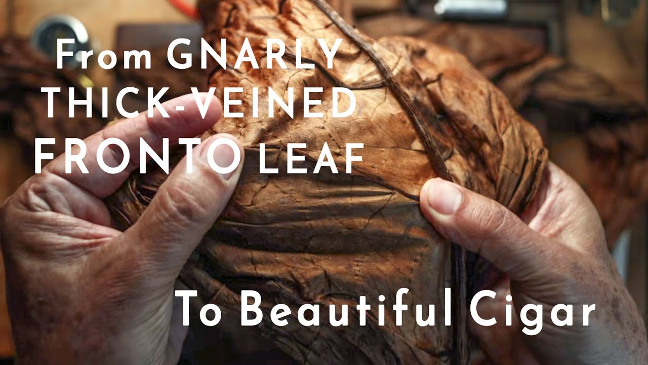 From Gnarly Thick-Veined Fronto Leaf to Beautiful Cigar