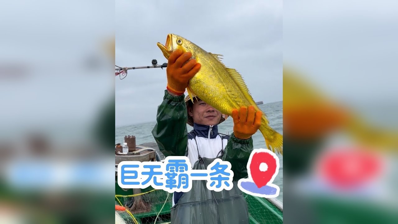 今年最大的一条了