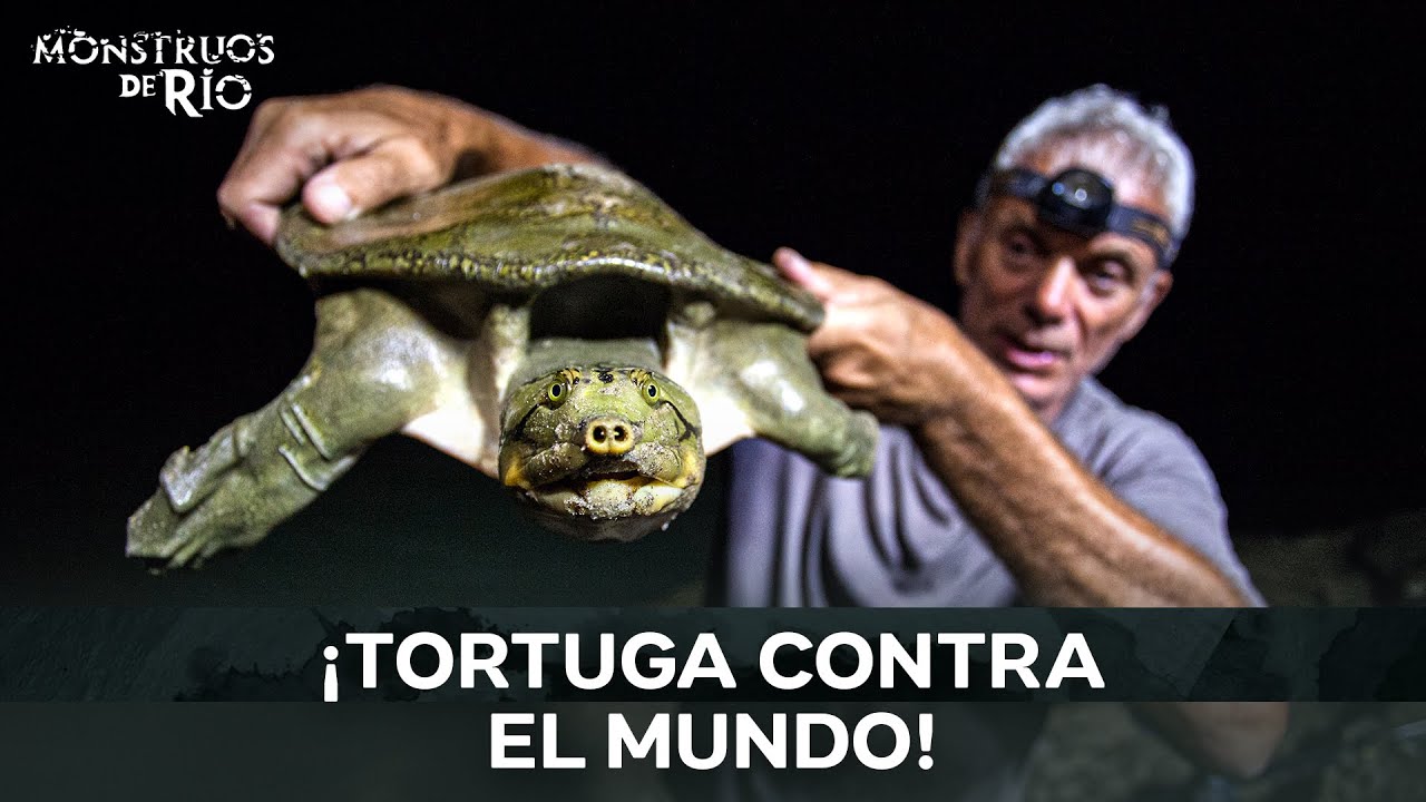 El Retorno del Pez Gato Asesino y la Tortuga Gigante del Río | Monstruos de Río