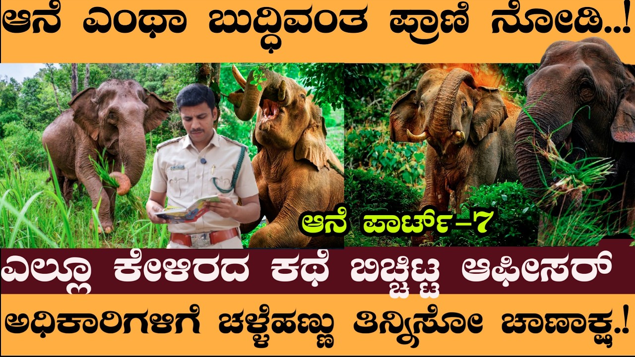 PART 7-ಆನೆ ಎಂಥಾ ಬುದ್ಧಿವಂತ ಪ್ರಾಣಿ ನೋಡಿ..!ಎಲ್ಲೂ ಕೇಳಿರದ ಕಥೆ ಬಿಚ್ಚಿಟ್ಟ ಆಫೀಸರ್‌/Naveen Rowth