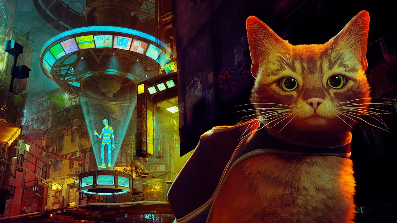 Les Secrets de Stray en CAMÉRA LIBRE !