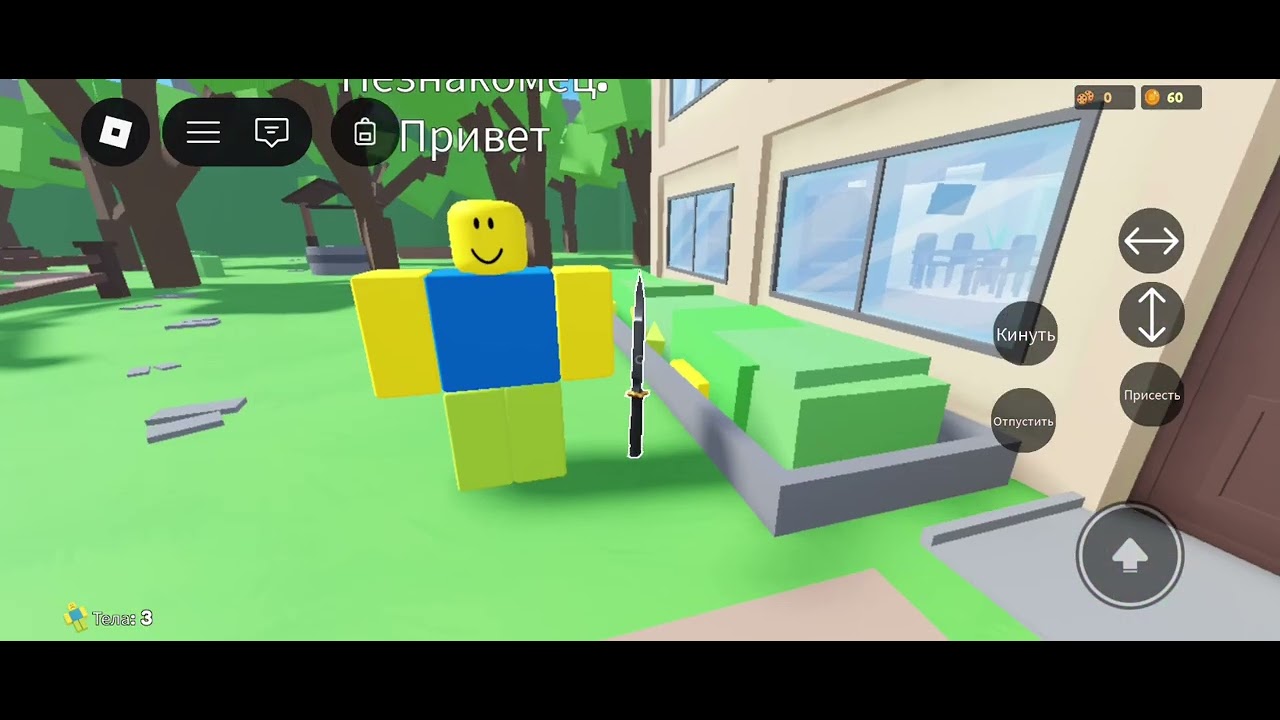 ПРЯЧУ ТЕЛА ДОМА....