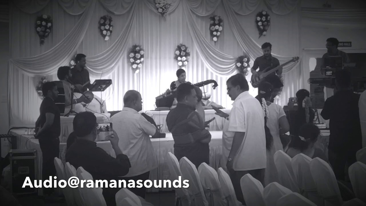 Pedave Palikina matallone teeyani mati amma !! instrumental@veena sri Vani mam band live