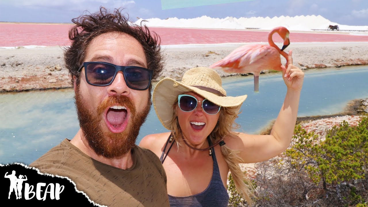 South Bonaire Island Scooter Tour UNBELIEVABLE Pink Salt Lake & Flamingos
