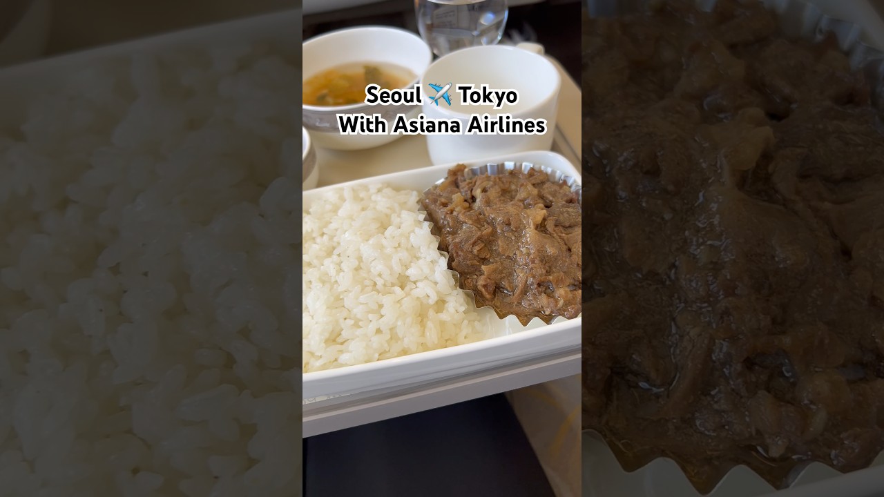 Asiana Airlines&rsquo; food is pretty damn good !! #asianaairlines #planefood #foodie #travel #tokyojapan