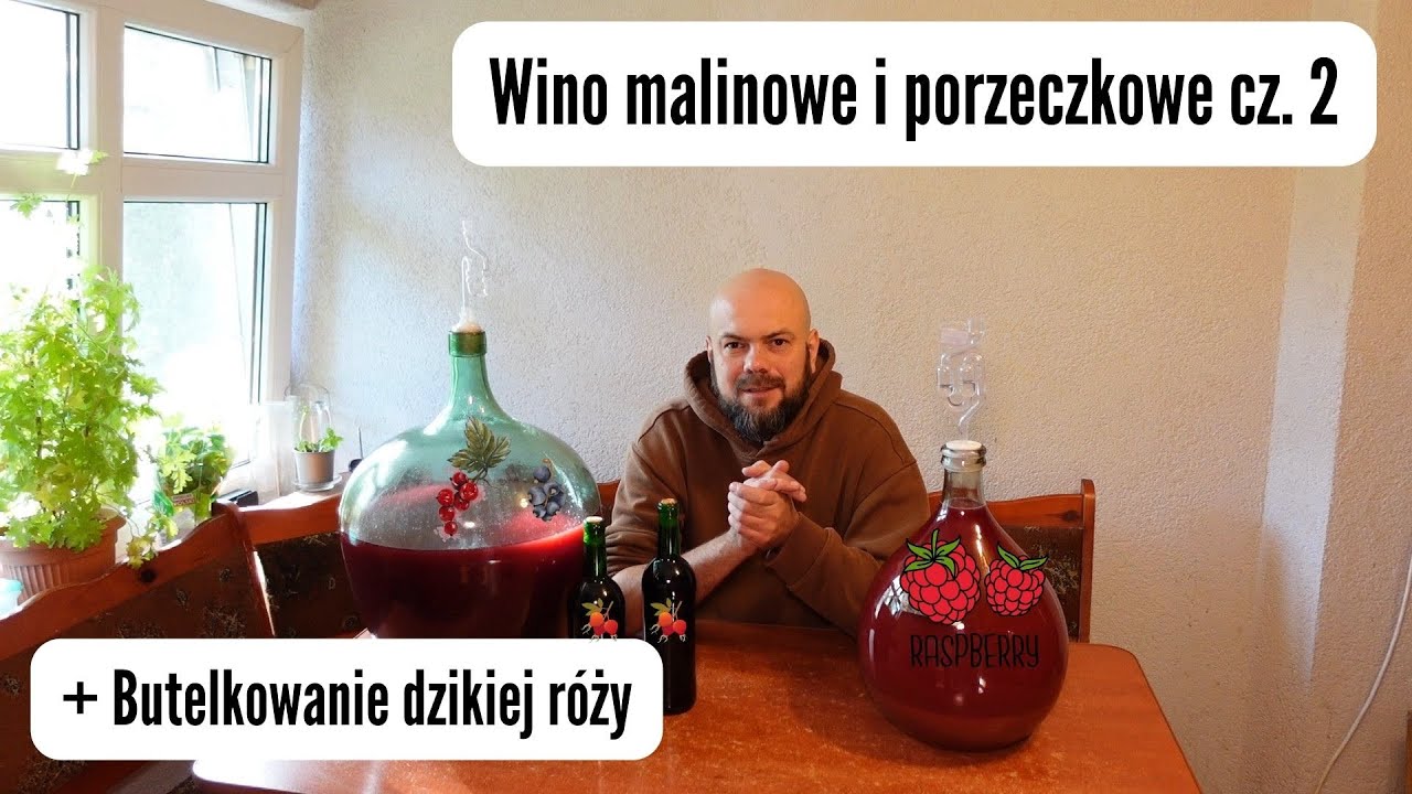 Wino malinowe i porzeczkowe cz. 2 - Butelkowanie dzikiej róży