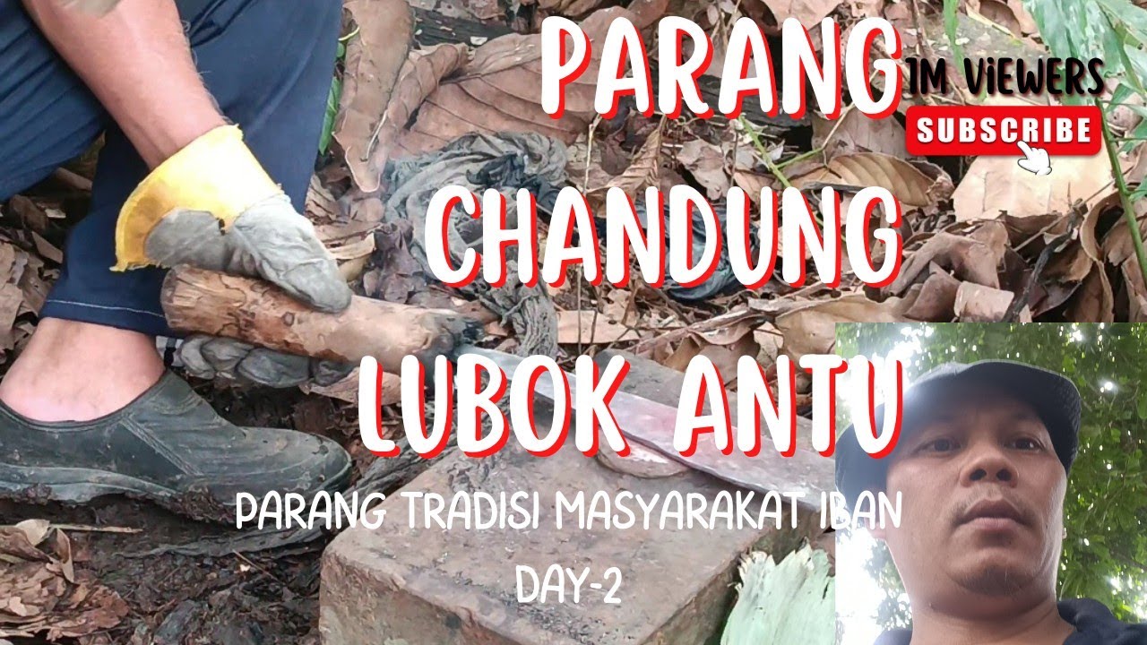 ngambuh@membuat parang IBAN//lubok antu... Hari ke 2.