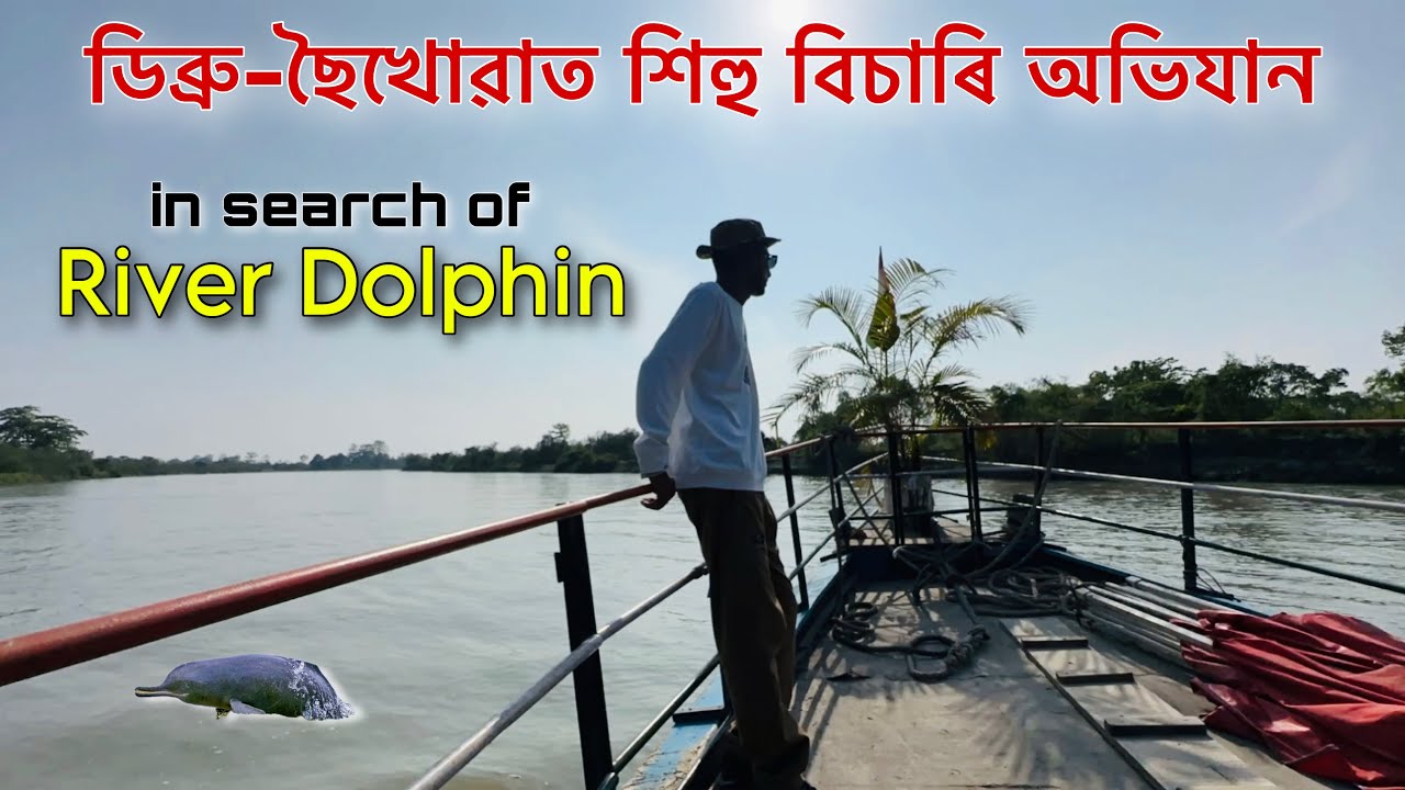 ডিব্ৰু-ছৈখোৱাত শিহু বিচাৰি অভিযান 🐬- in search of River Dolphin