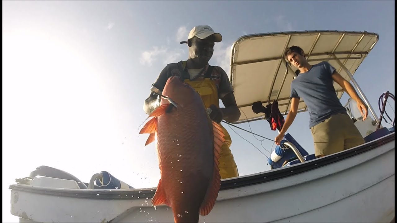 CHASSE SOUS MARINE -Grosses carpes rouges ! - Ep 41