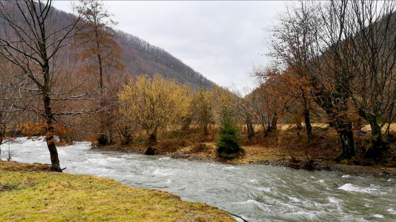 مناظر طبيعية خلابة وأصوات الطبيعة للتامل والاسترخاء العميق | Relaxing Nature Sounds & Scenic Views