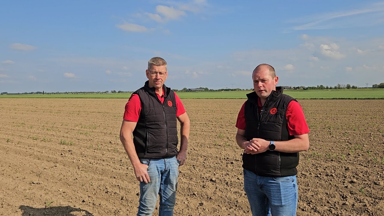 De grootste risico’s in de maisteelt | zaadontsmettingen uitgelegd